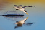  Fleeting Moments