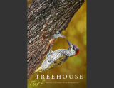  Tree House Turf