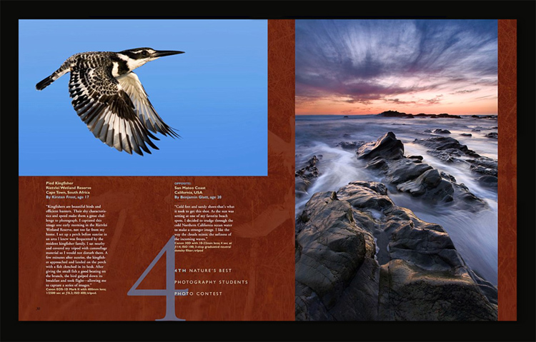 Top left: Pied Kingfisher
