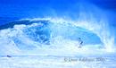 backdoor.pipe masters contest
hawaii 12/04