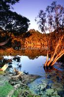 Chapman river,KI early am 1/04