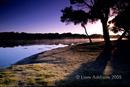 Chapman river, KI, dawn 1/04