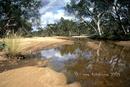 Finke river, NT 2/04