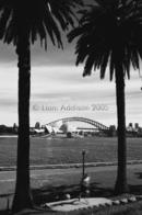 Harbour life 3/4