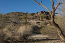 Dry river bed, Arizona