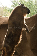Takin a look!