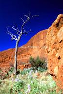 Kata Tjuta, NT 2 2/05