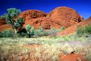 Kata Tjuta, NT 3 2/04