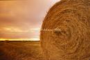haybales