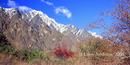 The Remarkables, NZ 6/04