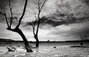 The dry season in mono 1/04