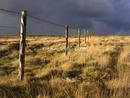 On the moors, Cornwall 4/05