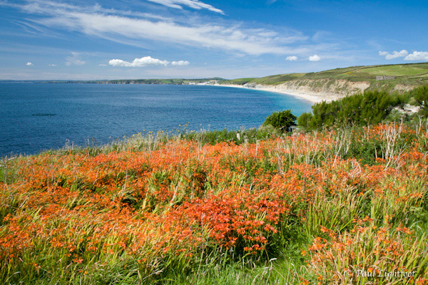 Gunwalloe Cove