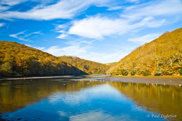 Autumn reflections