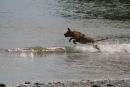 FETCH