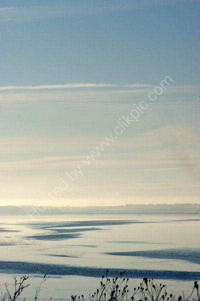 Cold, cold estuary