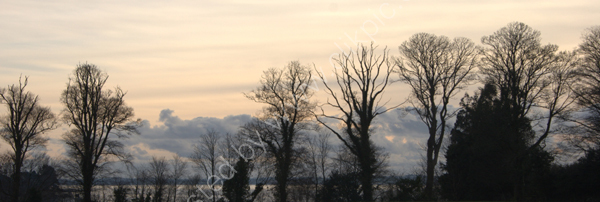 Winter afternoon