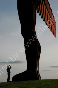  Angel (in colour)