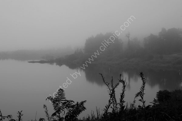 Foggy loch