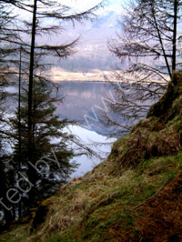 Loch Trool from Caldons