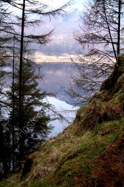 Loch trool from Caldons