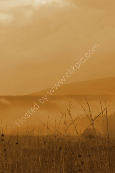 Orange mist