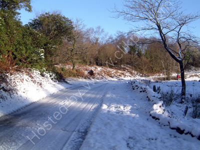 Snowy Road at the Curling Ponds