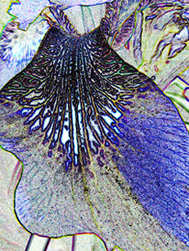 the pollen count 2