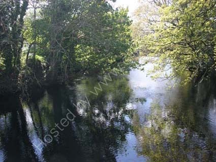 Cool waters