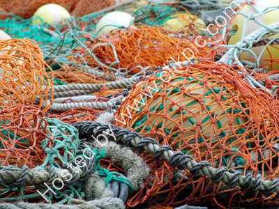 get netted