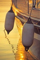Fenders in the evening light
