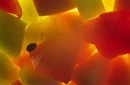 Melon chunks