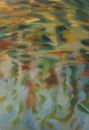Fluid Dynamics (four)