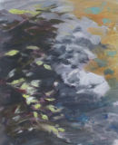 Fluid Study