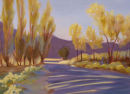 <b>Cottonwood Ranch</b>
oil
24" x 20"