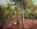 Summer Forest, oil on panel,  11 x 14