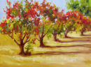Van Gogh's Grove SOLD, PRINTS AVAIL , 12 X 16