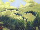Wetlands 2011