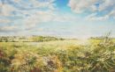 'From Thornhill' (oil) 0.7 x 1.2m