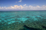 Great Barrier Reef - (Outer) Ribbon Reef 3