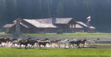 Brooks Lake Lodge