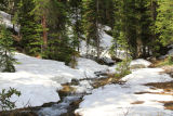Snowy trail to Sublette
