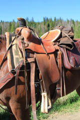 Western saddle