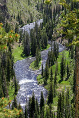 Yellowstone River
