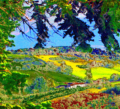 Ceiriog Valley View