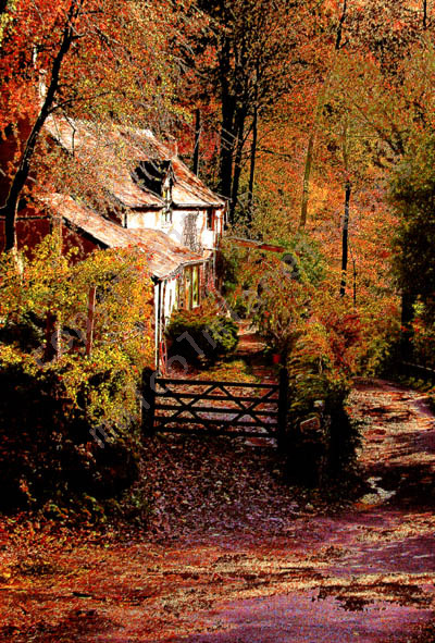 Autumn, Pandy Cottage