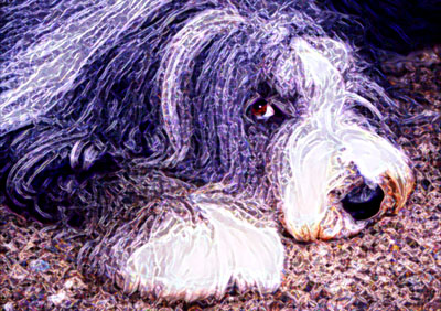 Charlie's eye