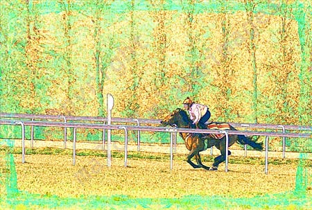 Galloping Horse
