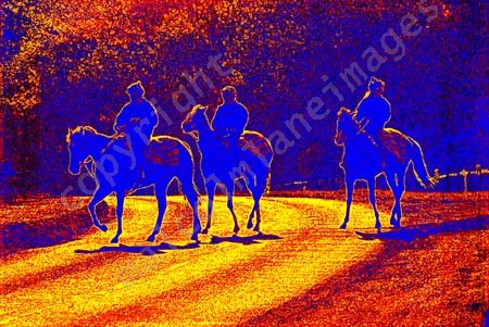 Looking back. <p><b>*SOLD*