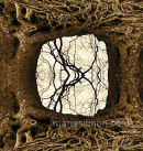 Tree Portal IV - Avebury